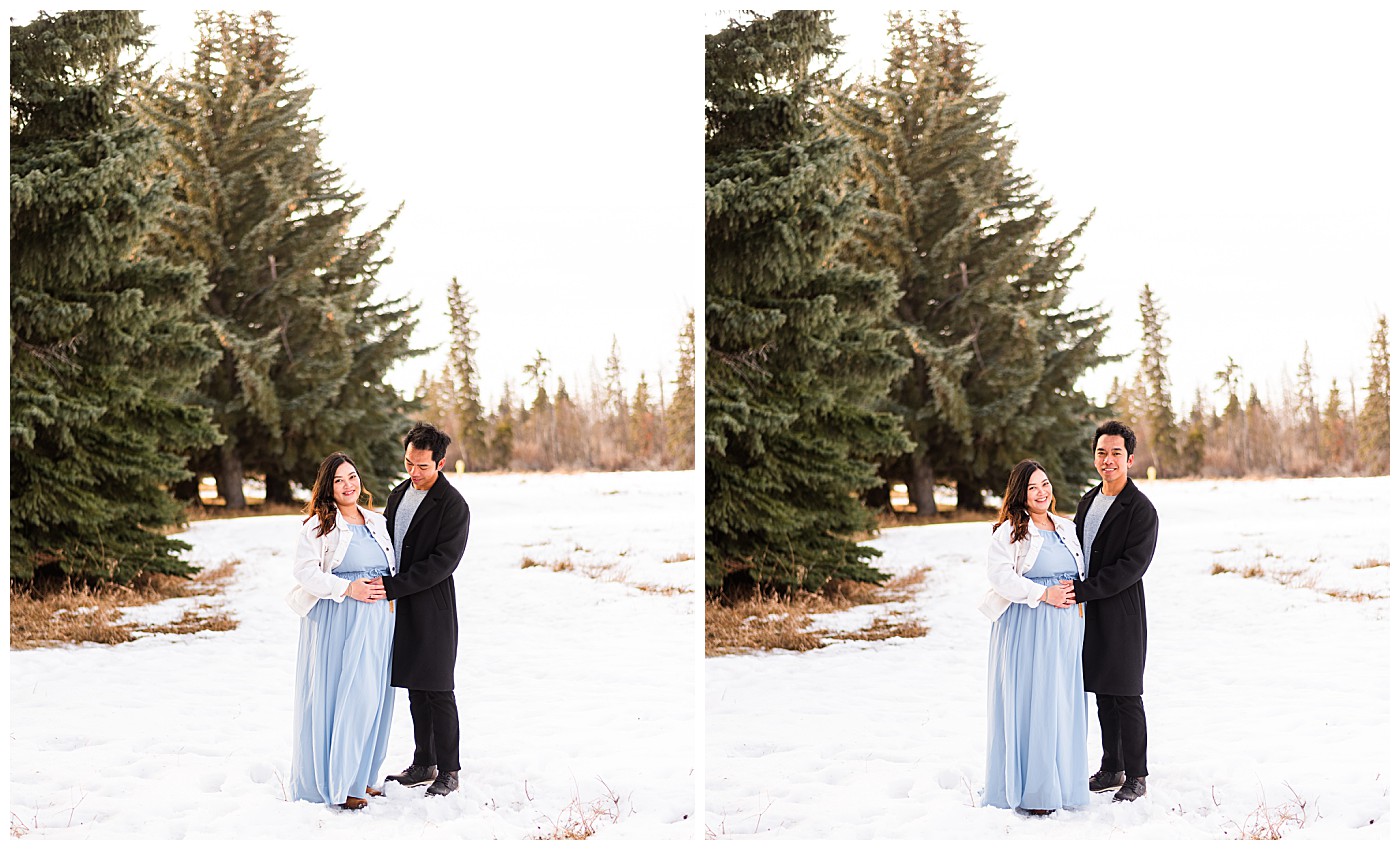 Blue Dress Red Deer Pregnancy Photo Shoot