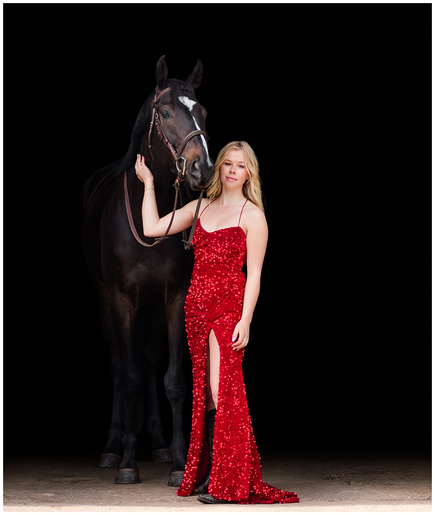 Black Background Equine Grad Session Calgary Alberta