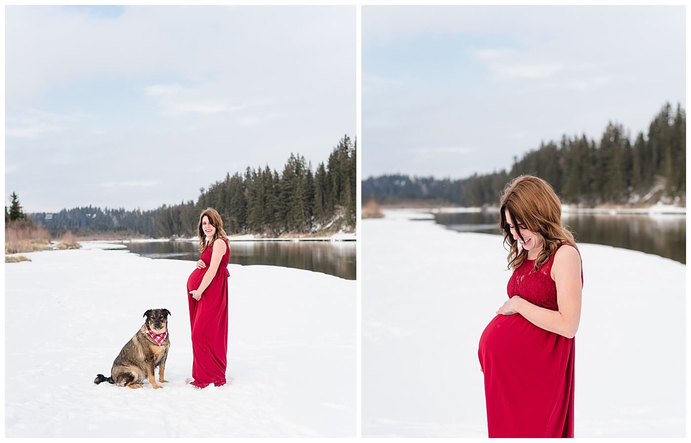 Central Alberta Maternity Session Red Dress, Dog