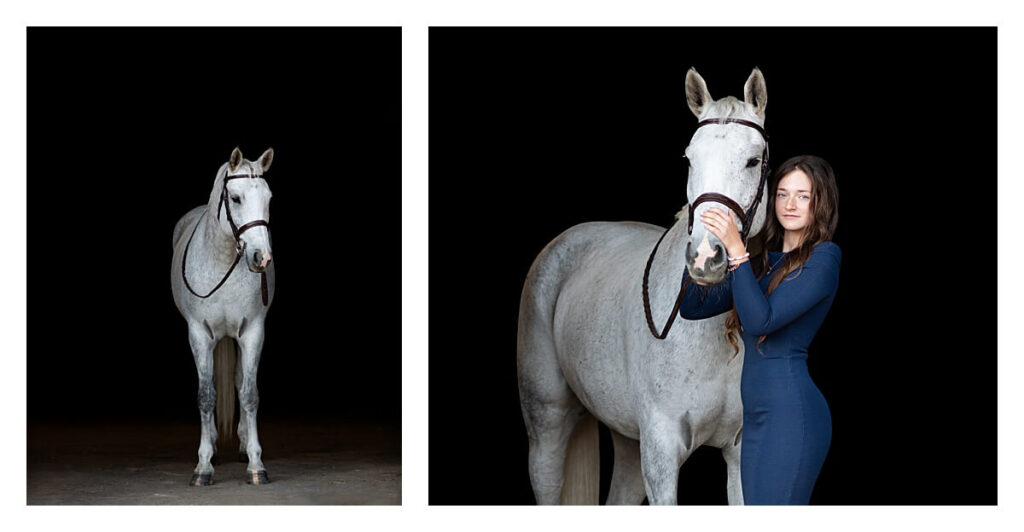st georges stables equine photo shoot calgary alberta