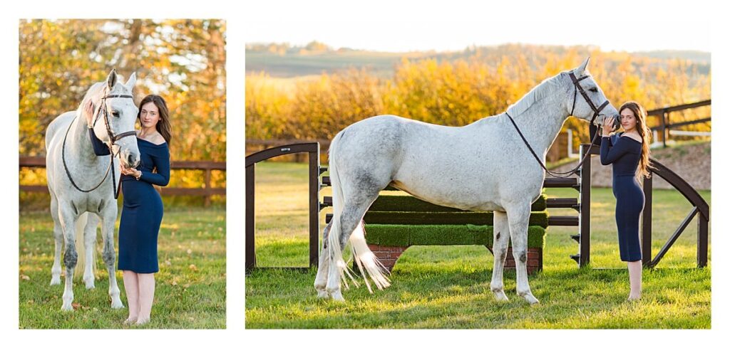 Fall equine photo shoot calgary alberta