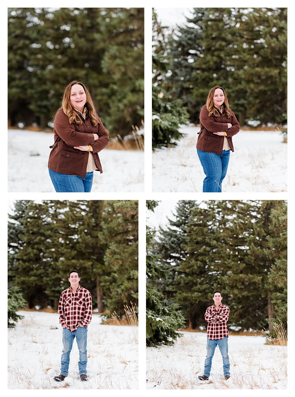 Christmas mini session red der alberta